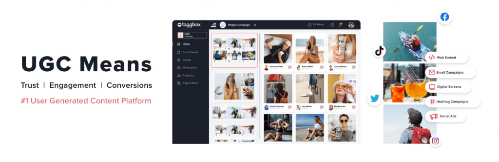 complemento taggbox para wordpress