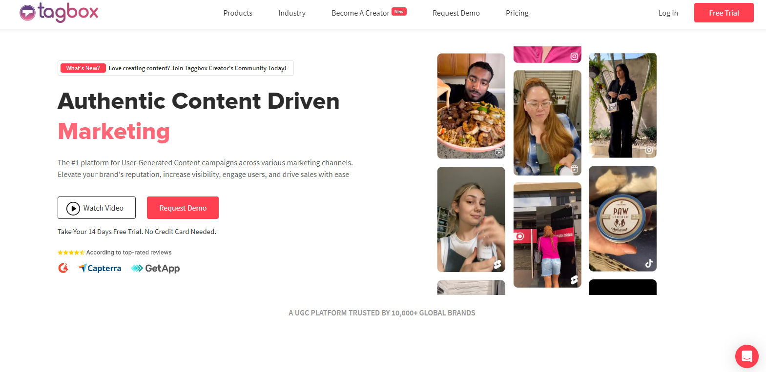 taggbox – beste UGC-Videoplattform