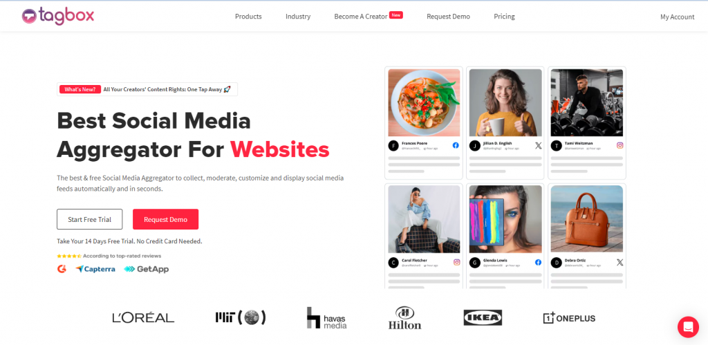 taggbox social media aggregator