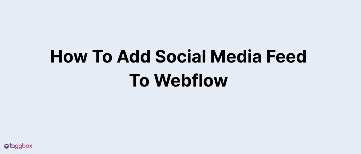 How To Add Social Media Feed To Webflow