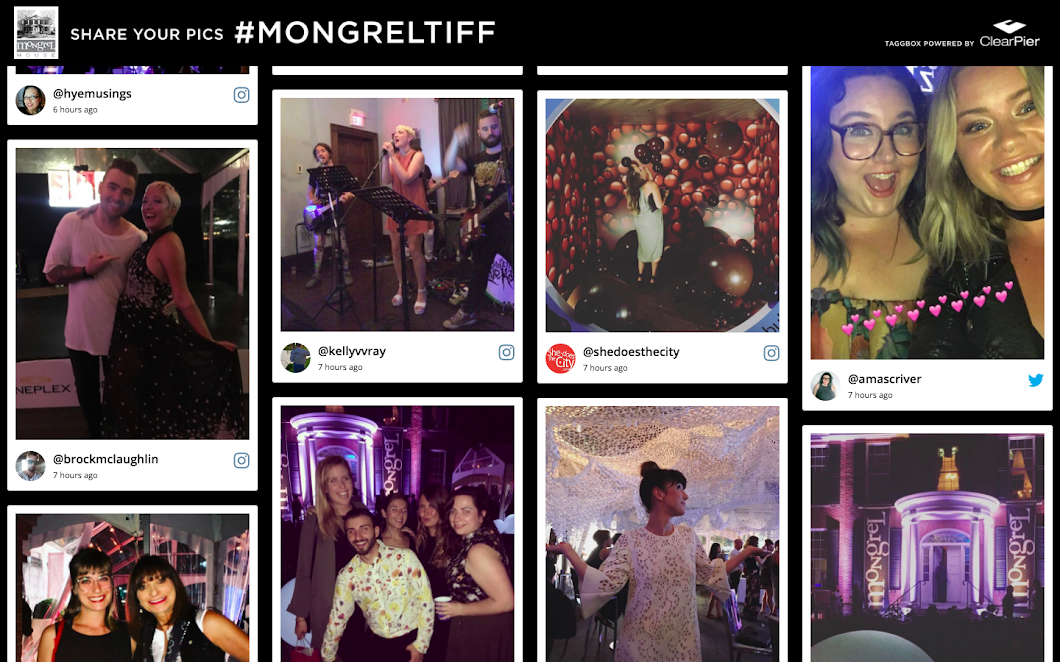 Social Wall at music fest