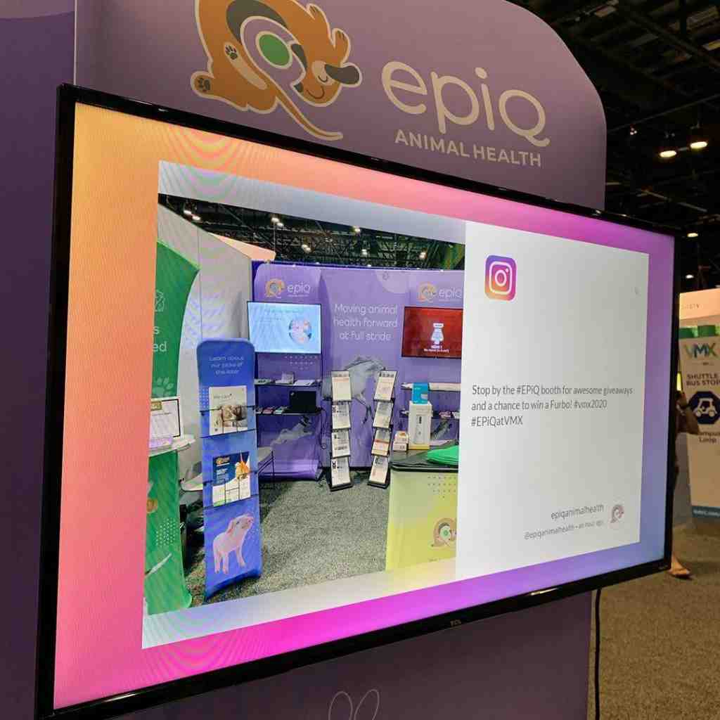 stream Instagram naar tv