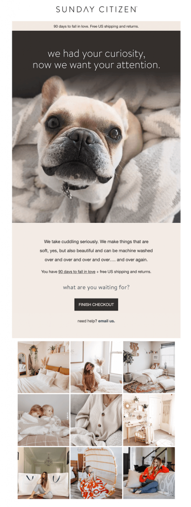 Turn Abandoned Shopping Carts Into Sales