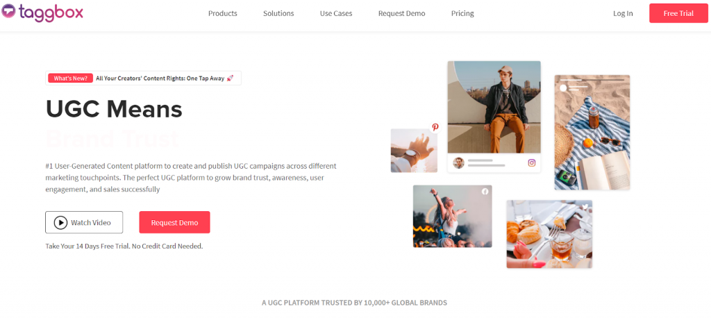 taggbox - walls.io の最高の代替品