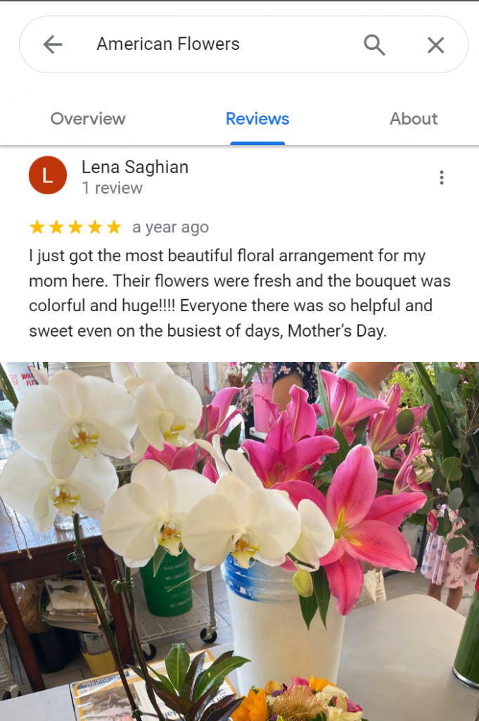 recensioni positive esempi copia e incolla