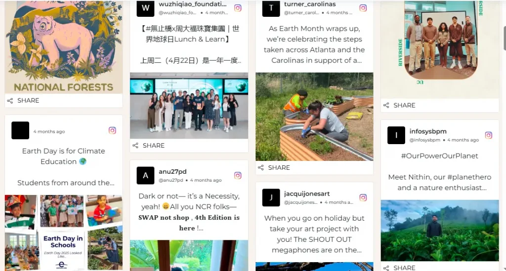 Social-Media-Feeds auf der Website