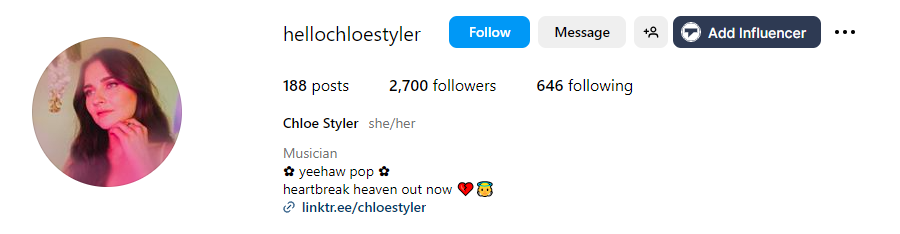 Estilo de verificación