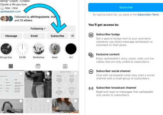 Allowing Instagram Subscriptions