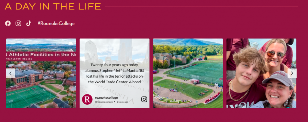 ウェブサイトのInstagram - ロアノーク