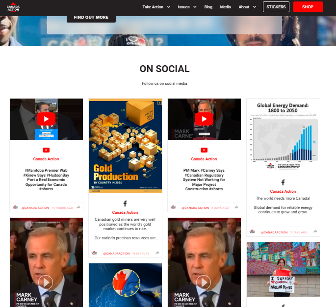 ウェブサイト上のInstagram - Canada Action