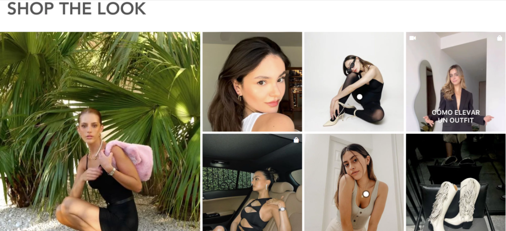 ソーシャルコマースの例